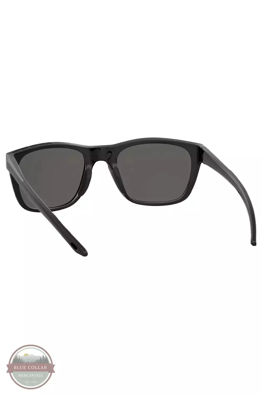 1368126-002 UA Raid Sunglasses