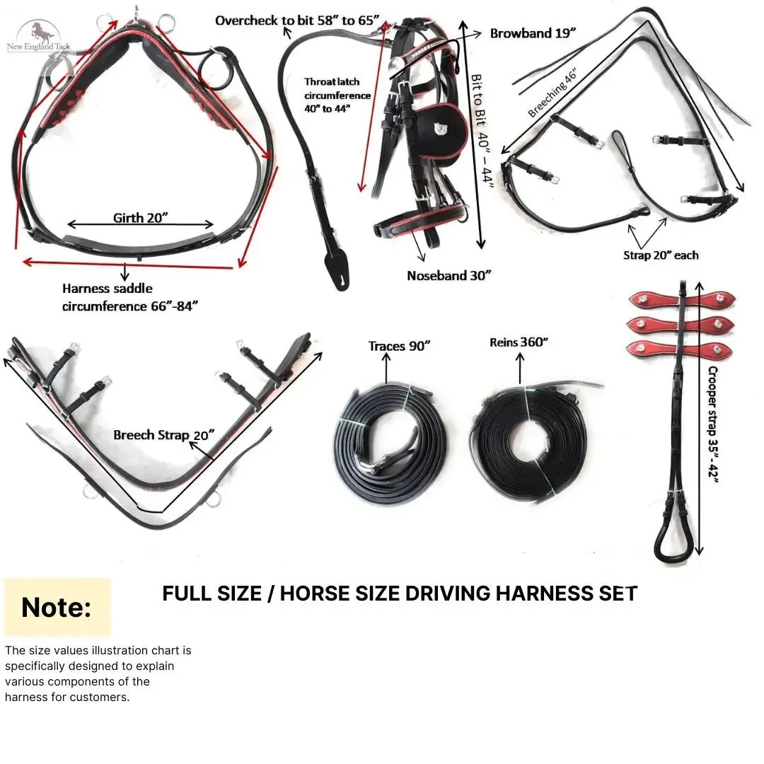 Black Full Size Horse Buffalo Leather Square Stud Browband Driving Harness Set