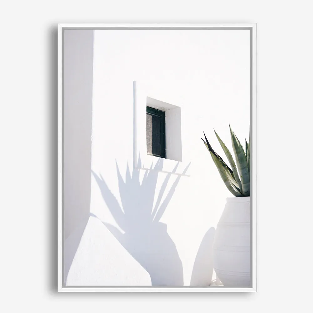 Cactus Shadow Photo Canvas Print