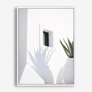 Cactus Shadow Photo Canvas Print