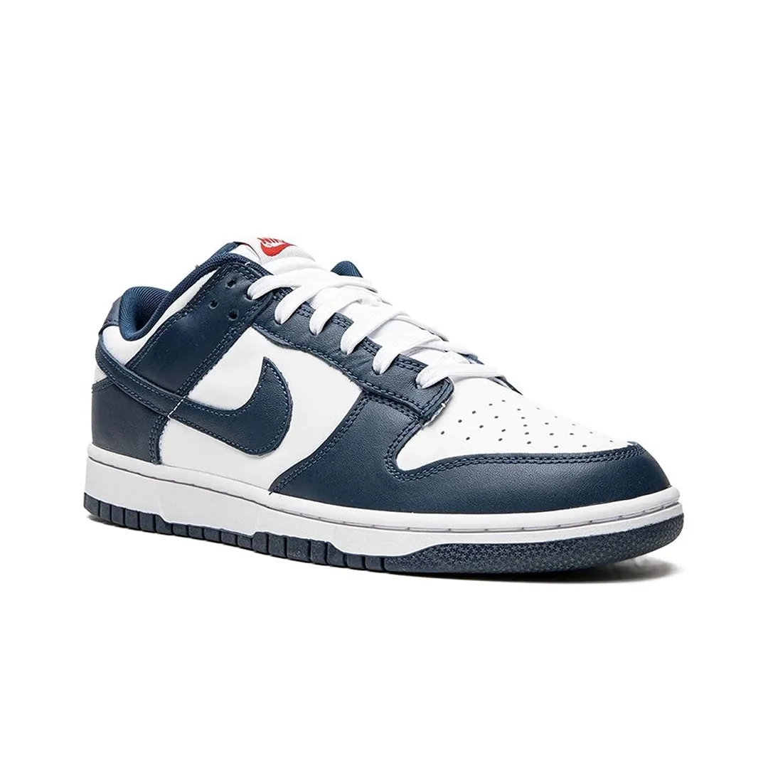 Nike Dunk Low Valerian Blue